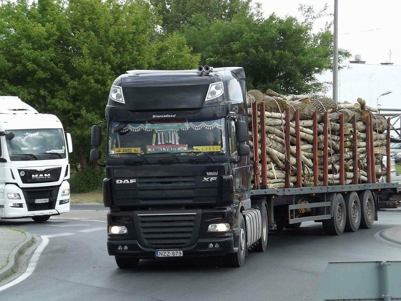 Forest Cargo