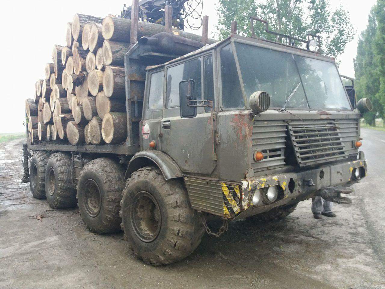 Forest Cargo