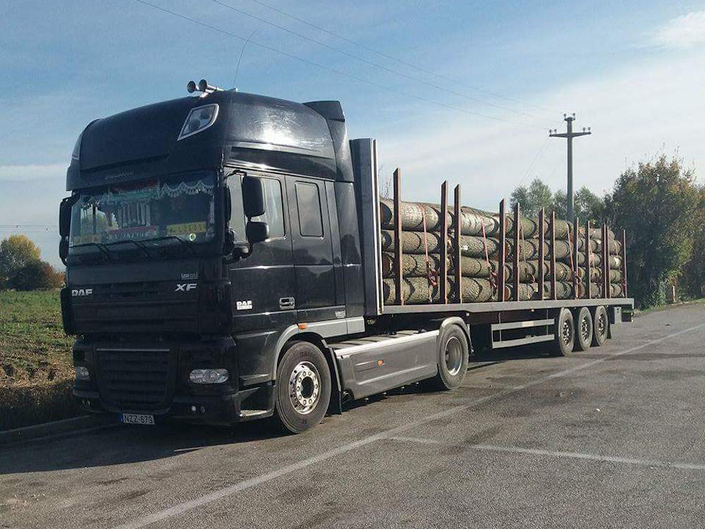 Forest Cargo